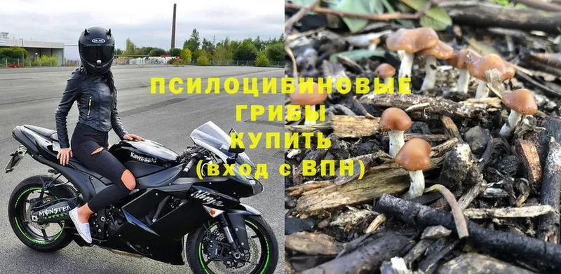 где продают наркотики  OMG ссылка  Псилоцибиновые грибы Psilocybe  Бугуруслан 